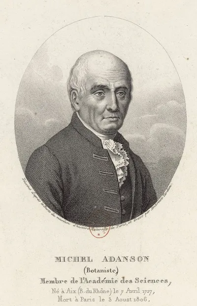 Adanson, Michel