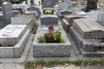 Wiiralt, Eduard